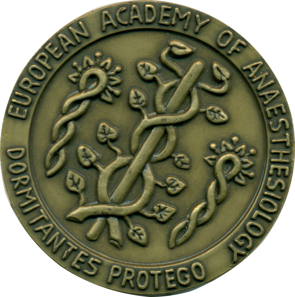 Fotografia de la medalla dissenyada pel Prof.F.Nalda president del 8th Annual Scientific Meeting of the European Academy of Anaesthesiology celebrat a Barcelona, 1986.