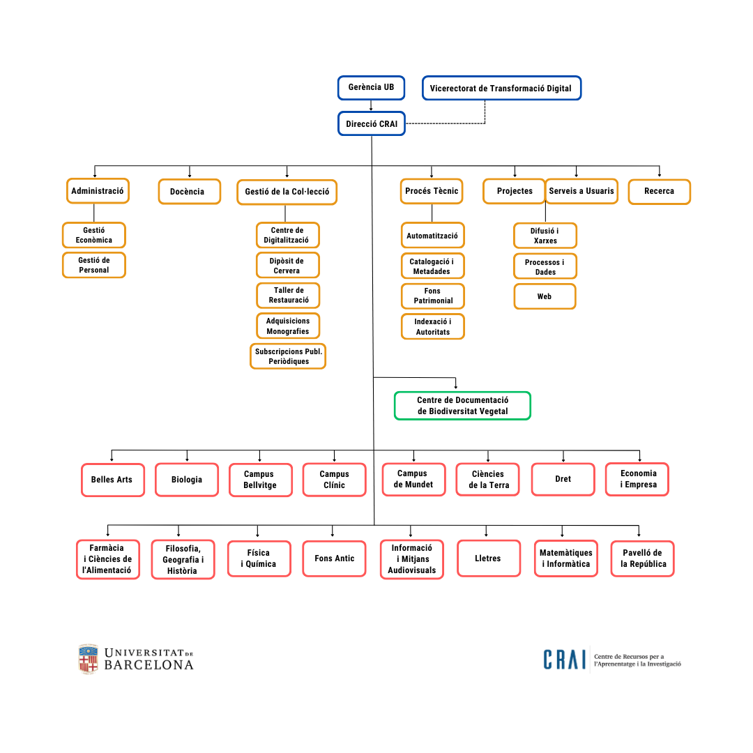 Organization chart of the CRAI of the University of Barcelona