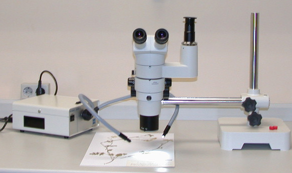 Centre for Research on Plant Biodiversity equipment picture