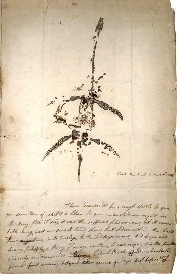 Carta i dibuix de Mary Anning en què anuncia el descobriment d'un plesiosaure