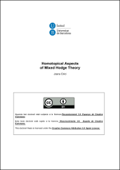 Homotopical Aspects of Mixed Hodge Theory