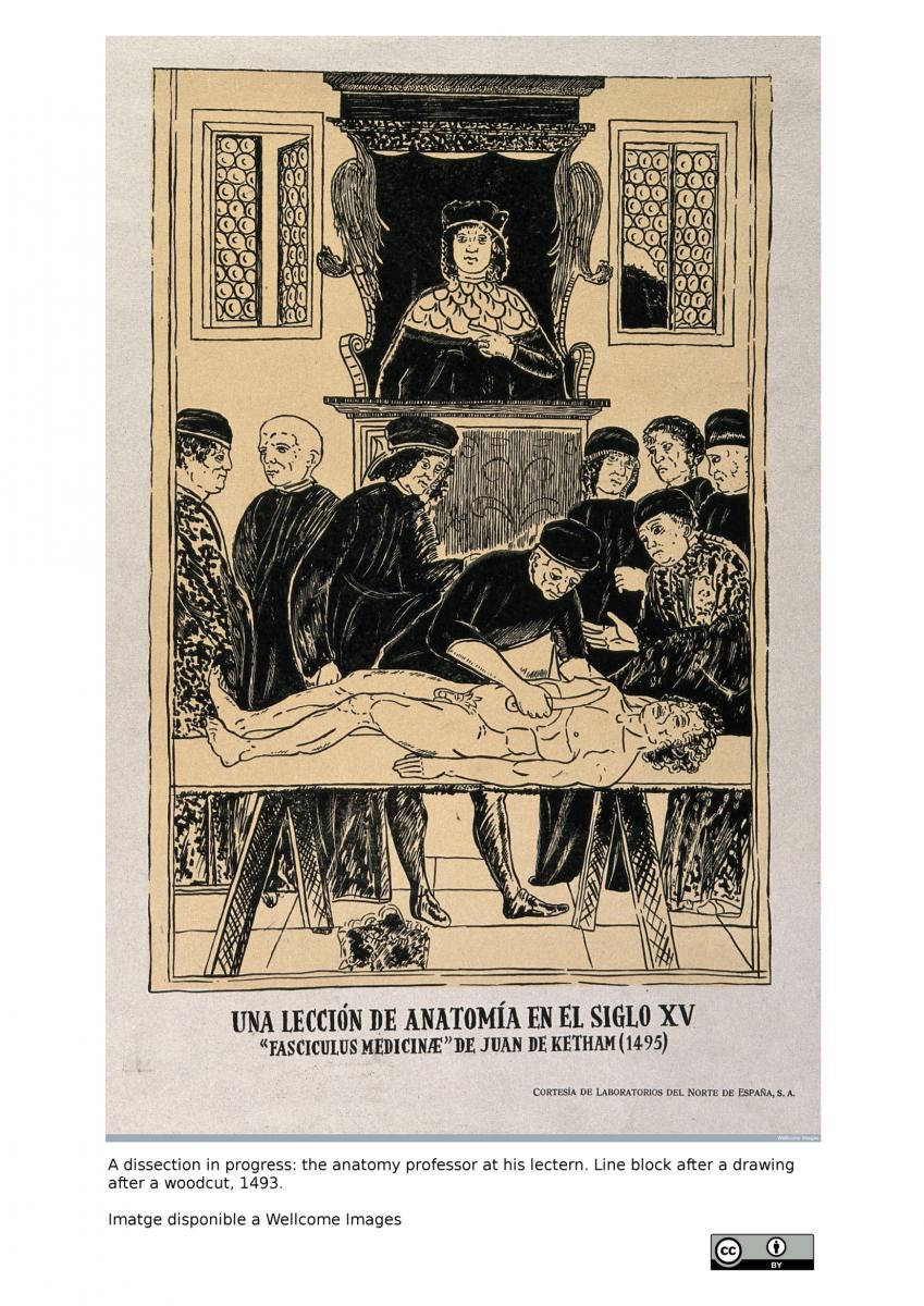 A dissection in progress: the anatomy professor at his lectern. Line block after a drawing after a woodcut, 1493. Imatge disponible a Wellcome Images