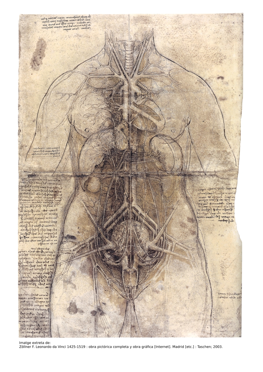 Imatge extreta de: Zöllner F. Leonardo da Vinci 1425-1519 : obra pictórica completa y obra gráfica [Internet]. Madrid [etc.] : Taschen; 2003
