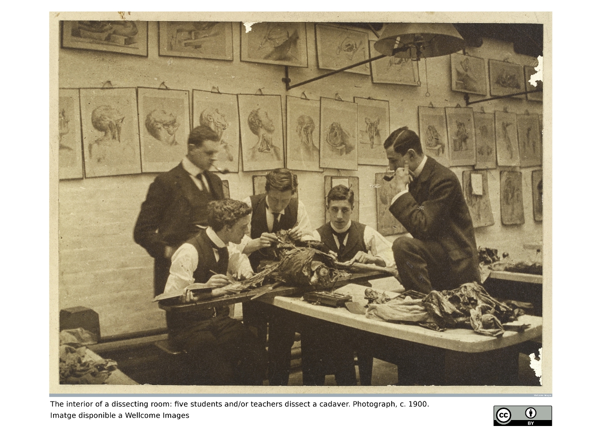 The interior of a dissecting room: five students and/or teachers dissect a cadaver. Photograph c. 1900. Imatge disponible a Wellcome Images