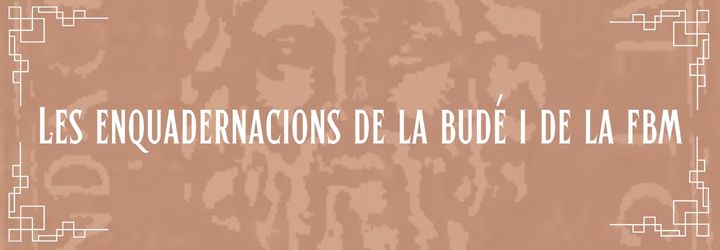 2.5. Les enquadernacions de la Budé i de la FBM
