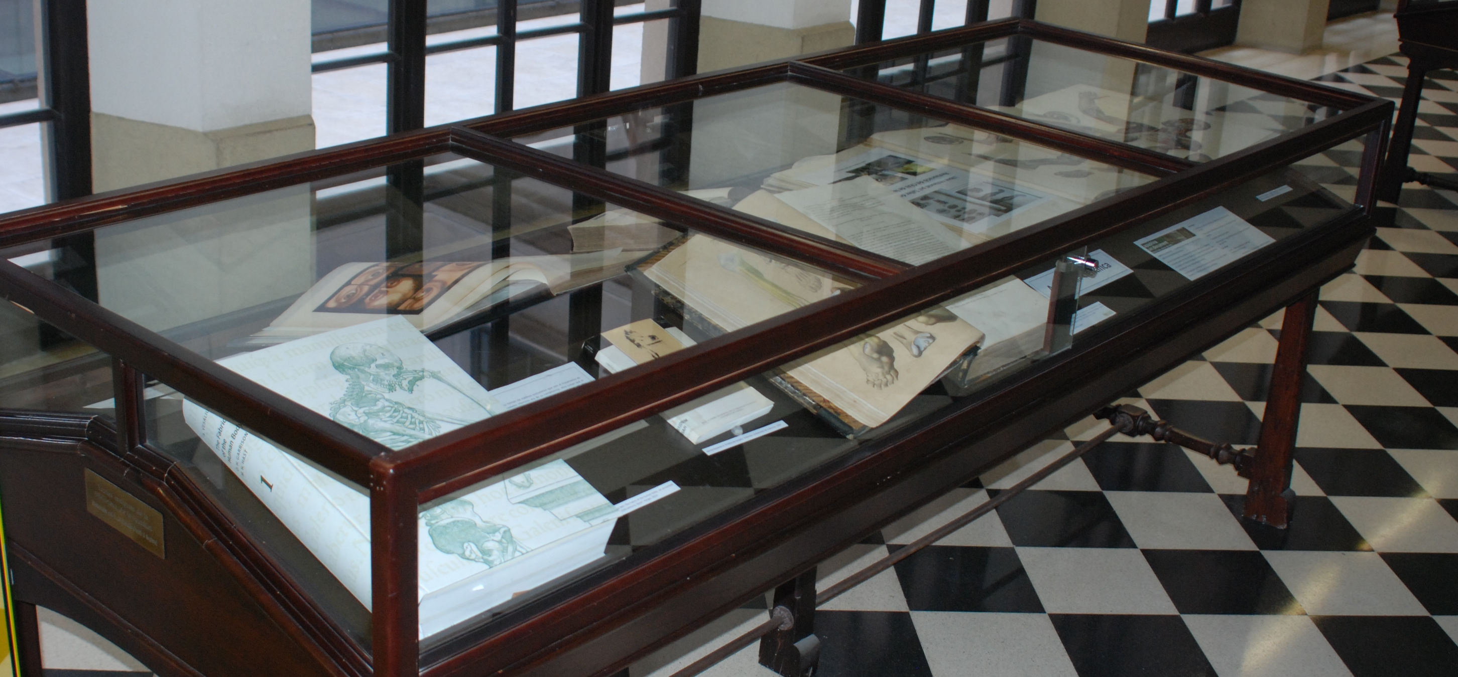 Fotografia d'un detall de la taula dedicada a l'anatomia científica