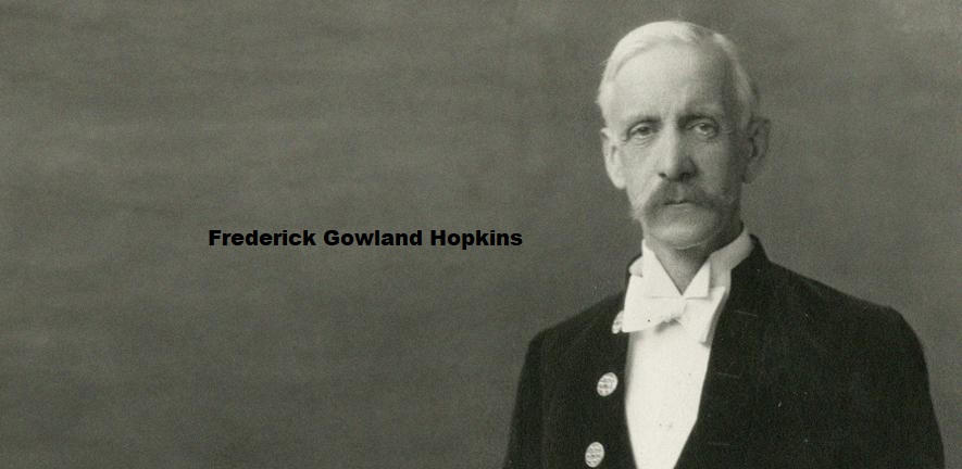 Frederick Gowland Hopkins (1861-1947)