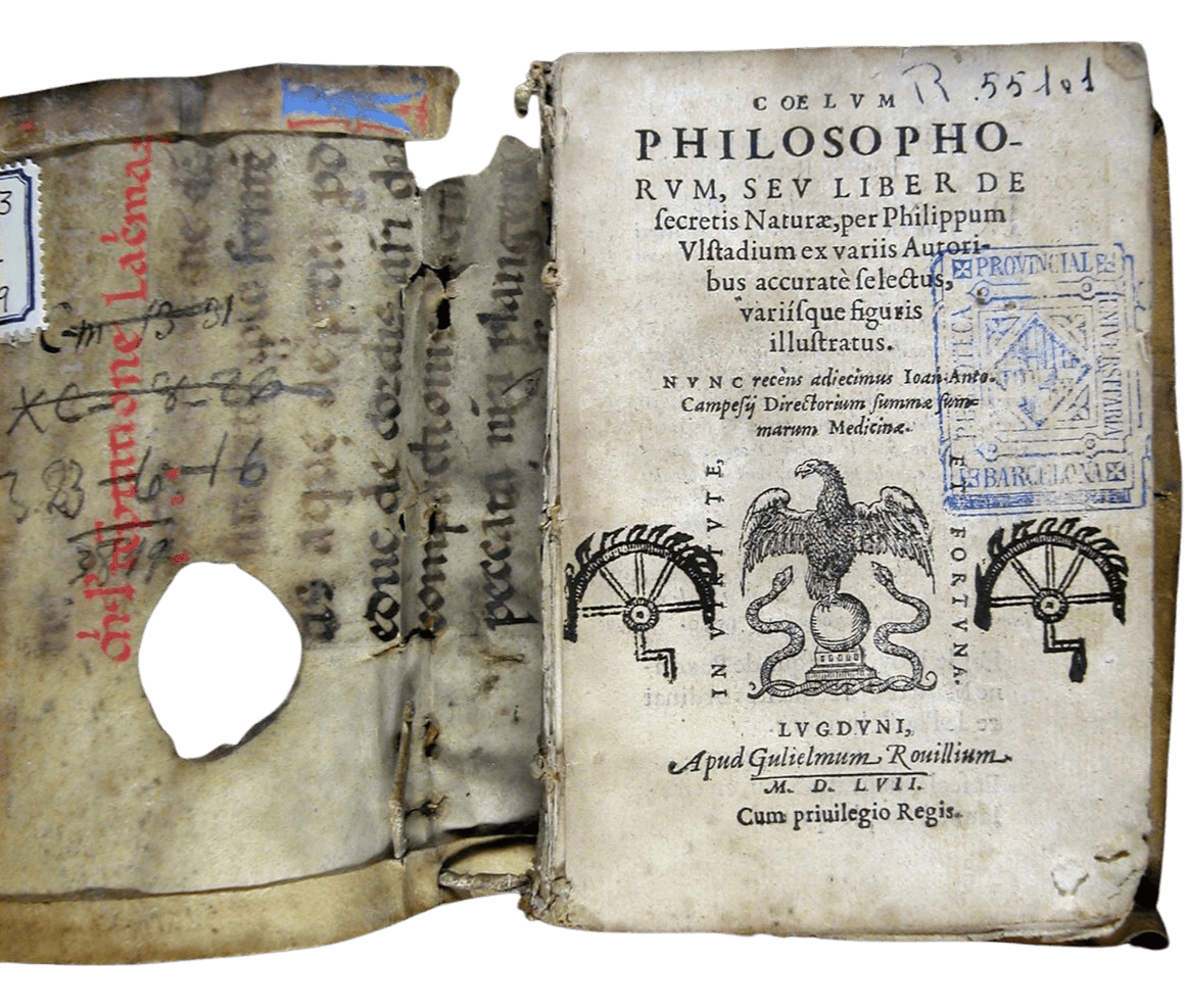 Ulstadius, Philippus. Coelum philosophorum seu liber de secretis naturae