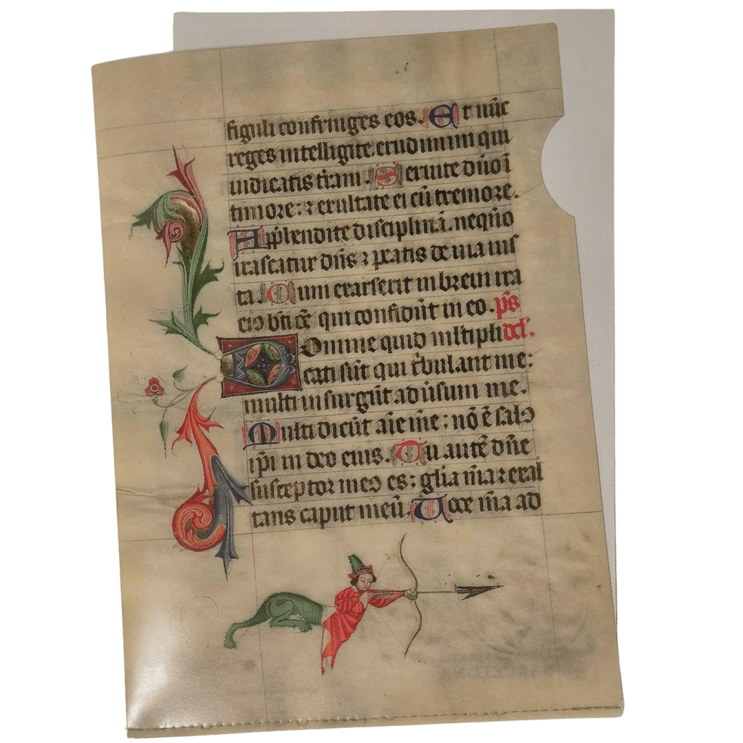 Funda per a documents. Reposició