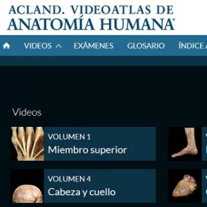 Renovació de la subscripció de l'Acland’s Video Atlas of Human Anatomy