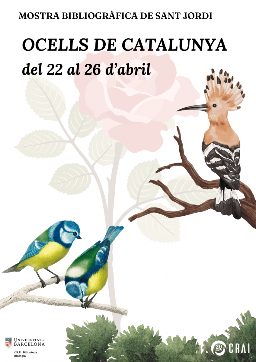 Sant Jordi 2024 al CRAI Biblioteca de Biologia: Ocells de Catalunya