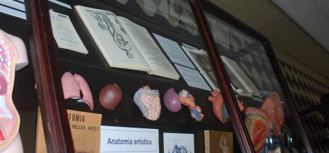Fotografia d'un detall de la taula dedicada a l'anatomia artística