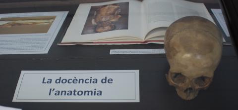 Fotografia d'un detall de la taula dedicada a la docència de l'anatomia