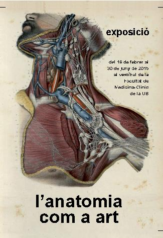 Postal exposició virtual L'Anatomia com a art, ciència i disciplina