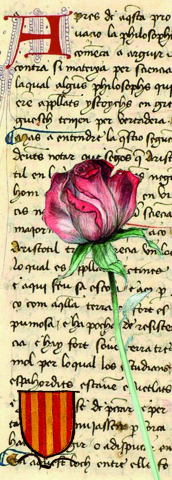 Punt de llibre Sant Jordi