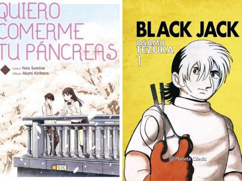 El CRAI Biblioteca del Campus Bellvitge crea un aparador virtual amb Wakelet per donar visibilitat a la col·lecció de medicina gràfica