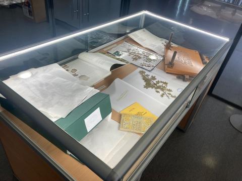 L’herbari docent, protagonista de la nova exposició del CRAI Biblioteca de Biologia