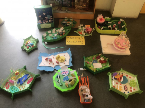 Exposició de materials didàctics creats per l'alumnat de la Facultat d'Educació al CRAI Biblioteca del Campus Mundet