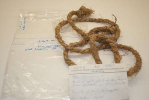 El Centre Excursionista de Catalunya visita l’Herbari del CeDocBiV