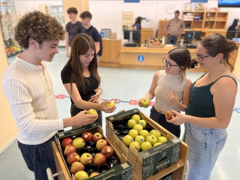 Tornen les pomes al CRAI Biblioteca del Campus Bellvitge