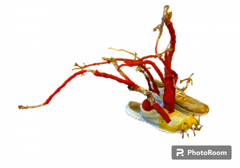 &quot;SABARTA. Creacions de sabates inspirades en artistes plàstiques contemporànies&quot; al CRAI Biblioteca del Campus de Mundet