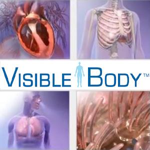 Visible Body Physiology Animations. Recurs en període de prova