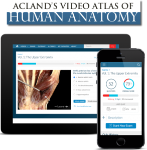 Acland’s Video Atlas of Human Anatomy. Nou recurs en prova