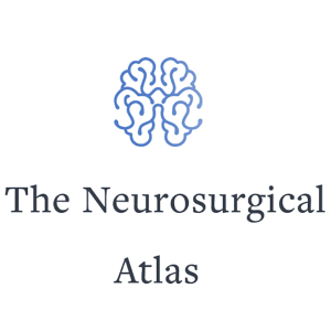 Nova subscripció del CRAI de la Universitat de Barcelona: Neurosurgical Atlas