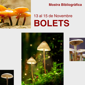 Bolets: mostra bibliogràfica al CRAI Biblioteca de Biologia 