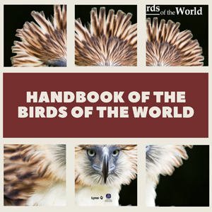 Mostra bibliogràfica al CRAI Biblioteca de Biologia dedicada al Handbook of the Birds of the World