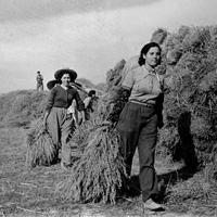 Exposició 1937 Quan la ribera no tenia amo. 