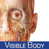 Visible Body: Fisiología & Patología. Recurs en període de prova
