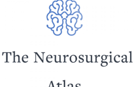 Nova subscripció del CRAI de la Universitat de Barcelona: Neurosurgical Atlas