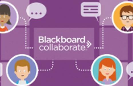 BB Collaborate, nova eina de videoconferències integrada al Campus Virtual UB