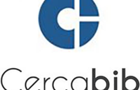 Cercabib: Eina única de recuperació d'informació al CRAI de la UB