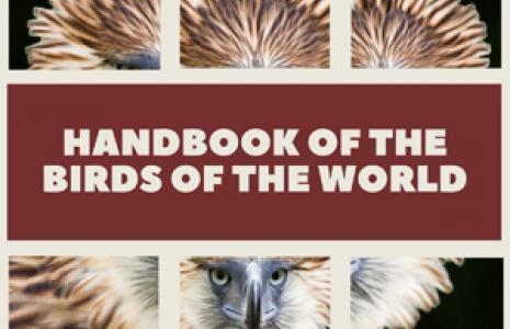 Mostra bibliogràfica al CRAI Biblioteca de Biologia dedicada al Handbook of the Birds of the World