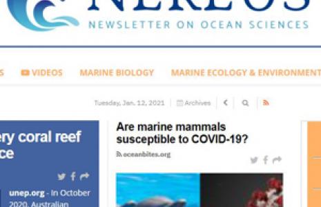 Nereus: nou butlletí d'informació en ciències del mar al CRAI Biblioteca de Ciències de la Terra