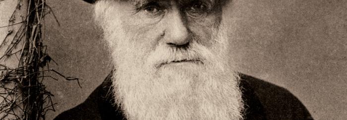 Retrat de Charles R. Darwin