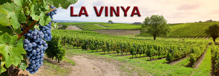 La Vinya: l'origen