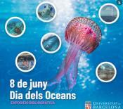 Exposició virtual interactiva Dia dels Oceans
